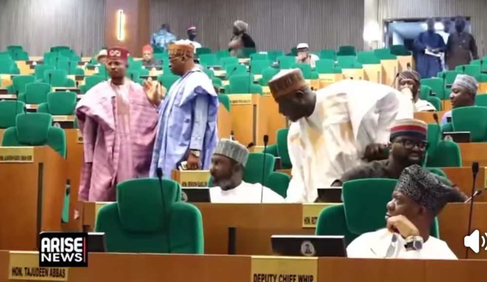 Opposition Reps shout ‘APC Ole’, stage walkout over plot to reverse mandatory e-transmission