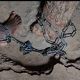 Police arrest  man who chained son for 17 years in Bauchi