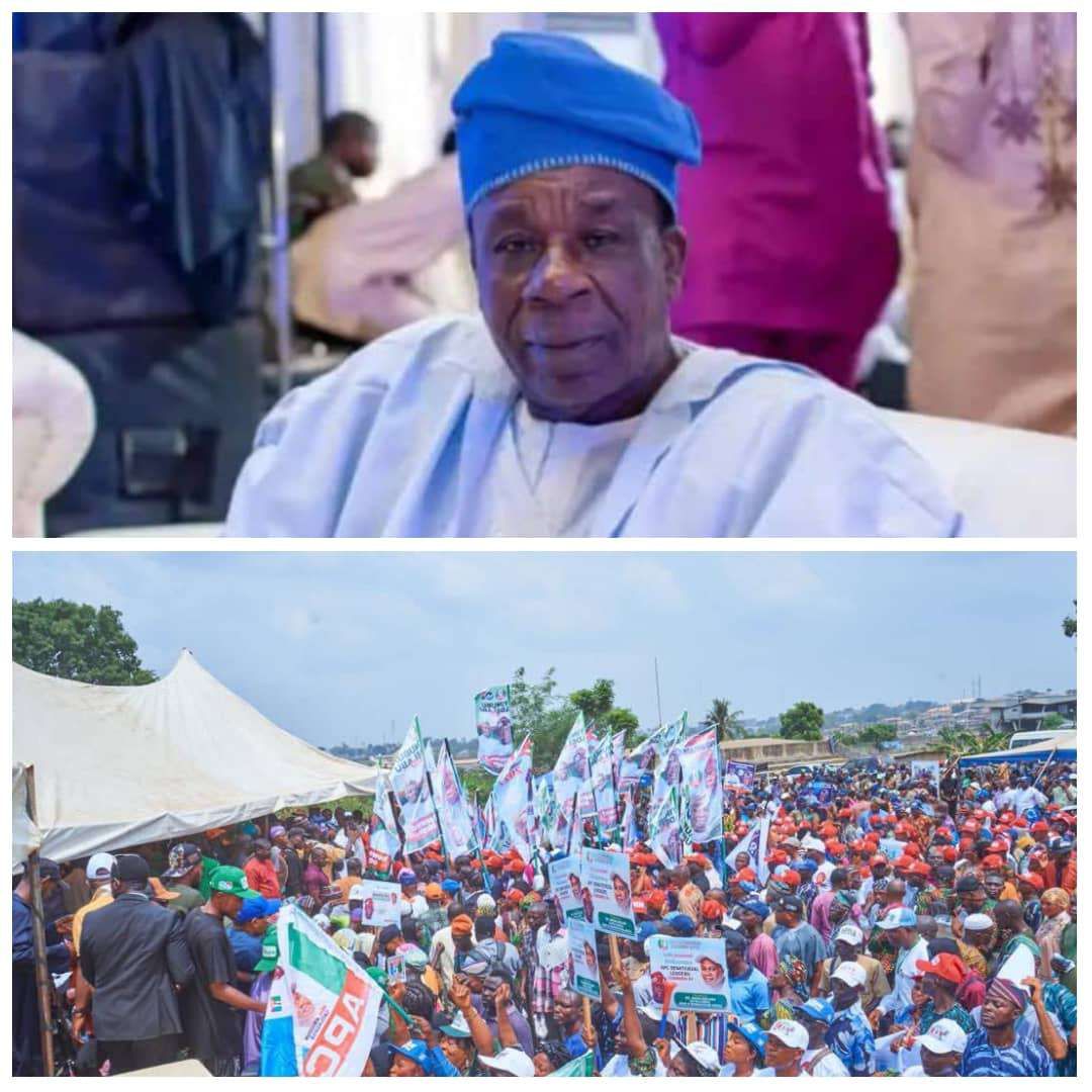 Adeyemo emerges Oyo APC chairman as new exco takes shape by consensus