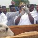 Ogun begins 2026 mass livestock vaccination, targets 200,000 animals