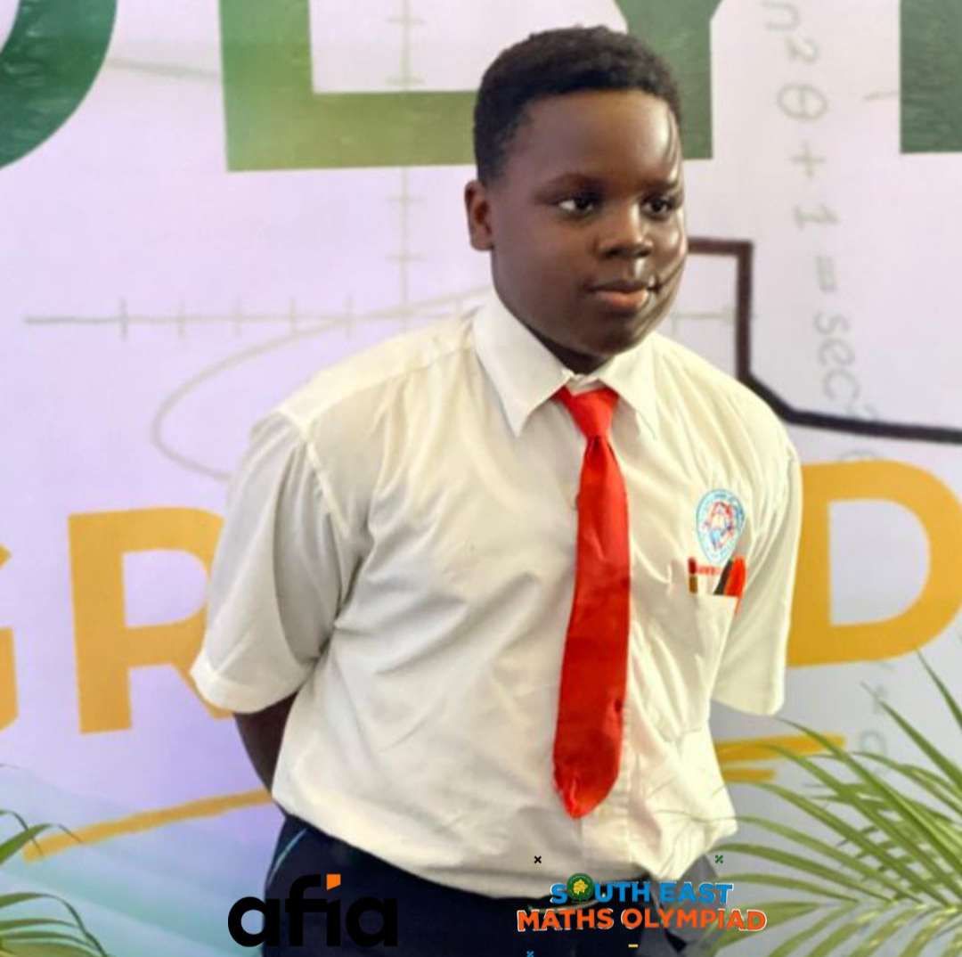 Imo, Enugu students shine at South East maths olympiad grand finale