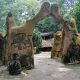 Traditionalists frown at desecration of Osun-Osogbo Sacred Grove by Christian group