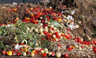 Nigeria wastes 38m tonnes of food yearly, highest in Africa - EU raises alarm