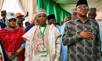ADC rejects PRP merger claims, insists no secret talks