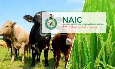 Reps query NAIC, insurers over N1.12tn Anchor Borrowers’ insurance gaps