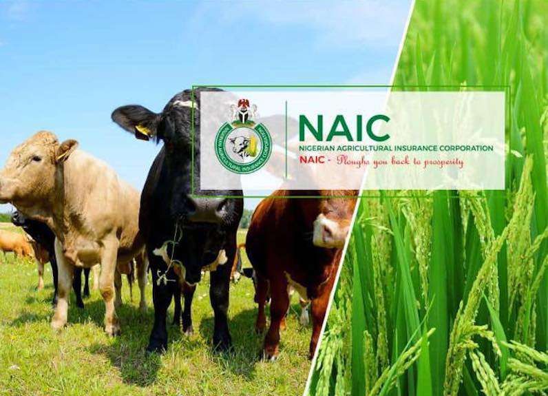 Reps query NAIC, insurers over N1.12tn Anchor Borrowers’ insurance gaps