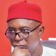 I won Delta North APC primary, results manipulated- Ned Nwoko