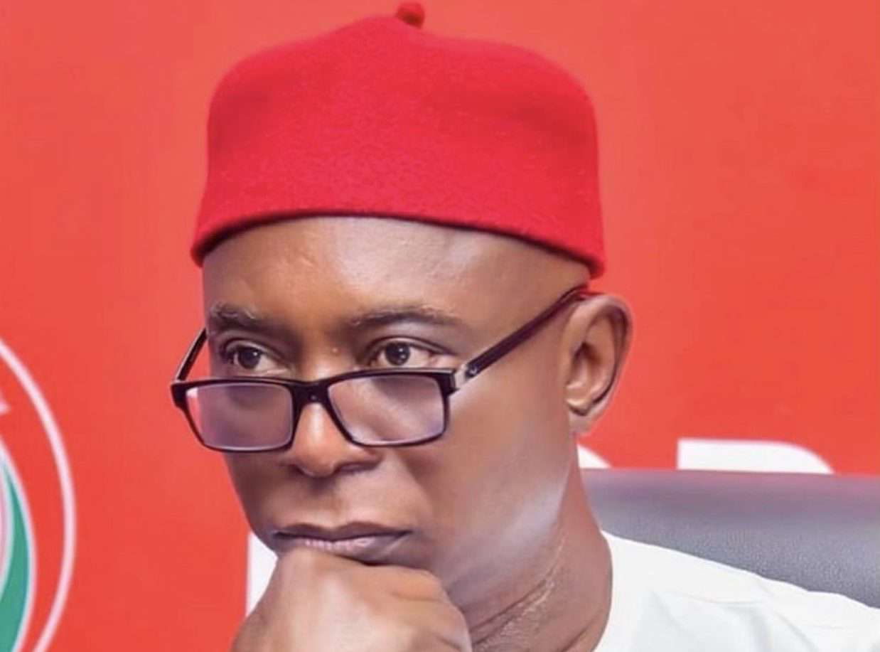 I won Delta North APC primary, results manipulated- Ned Nwoko