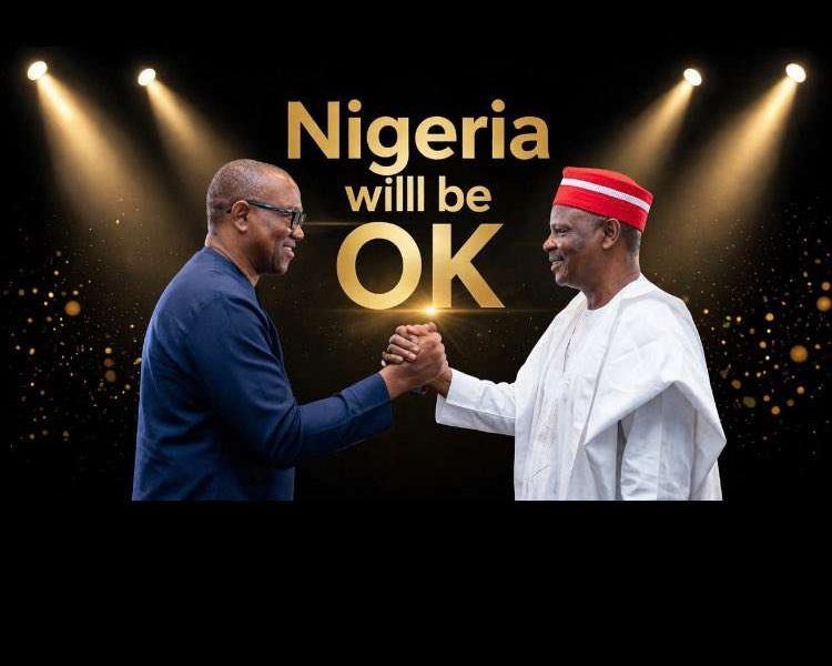 Opposition realignment gathers pace as NDC woos Obi, Kwankwaso ahead of 2027 deadline