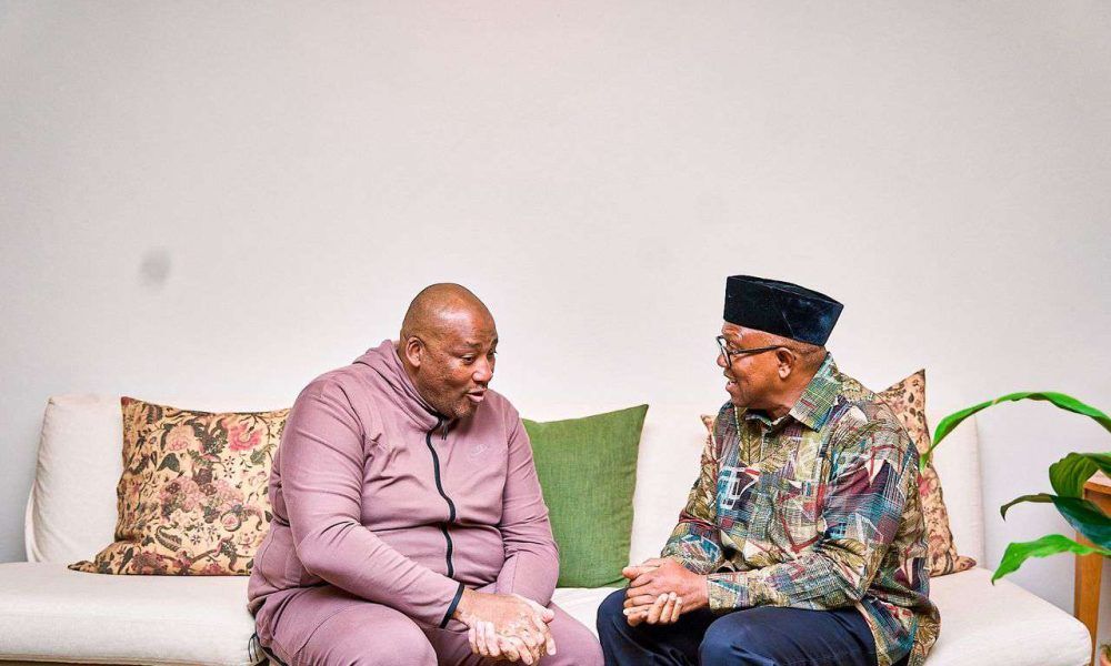 Nigerians facing xenophobia prefer staying in South Africa to returning home, Obi laments 