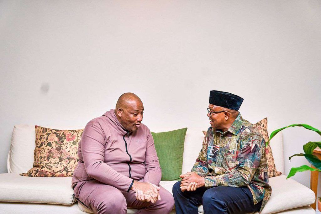 Nigerians facing xenophobia prefer staying in South Africa to returning home, Obi laments 