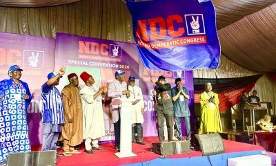 NDC adopts Peter Obi as presidential candidate, sets 10,000MW power target