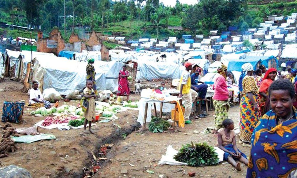 North-West IDP population jumps 22% as insecurity forces 143,000 core from homes