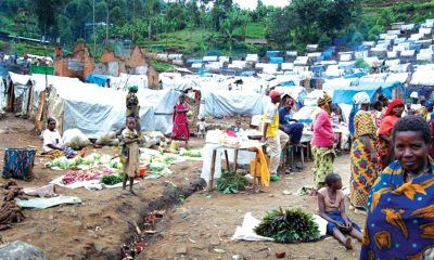 North-West IDP population jumps 22% as insecurity forces 143,000 core from homes