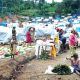 North-West IDP population jumps 22% as insecurity forces 143,000 core from homes