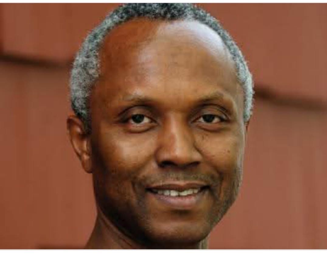 DSS says Okey Ndibe was not arrested, attributes airport encounter to watch list review