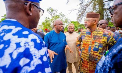 Ogun attracts new $250m dairy investment as firm plans mega farm in Ogun West