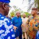 Ogun attracts new $250m dairy investment as firm plans mega farm in Ogun West