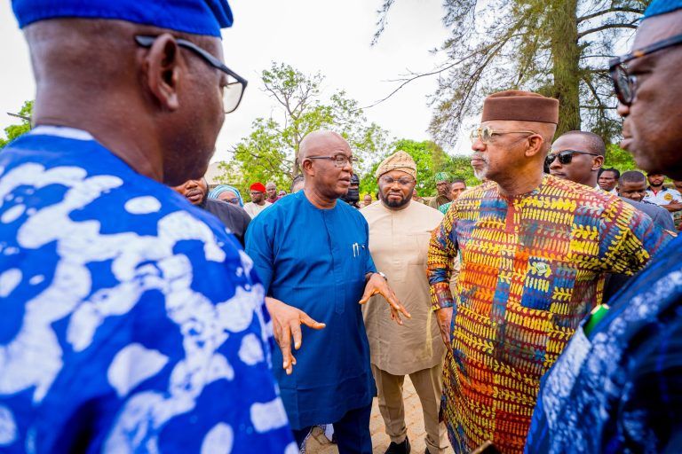 Ogun attracts new $250m dairy investment as firm plans mega farm in Ogun West