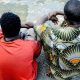 Police bust railway vandalism syndicate in Oyo, recover tracks worth N200m