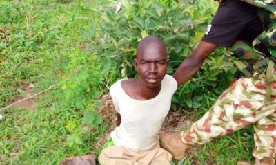 Army arrests Sudanese terror suspect, Ghanaian immigrant in Borno