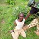 Army arrests Sudanese terror suspect, Ghanaian immigrant in Borno