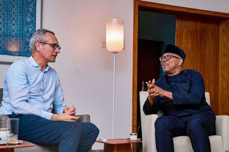 Obi advocates stronger Nigeria-Switzerland partnership after meeting envoy