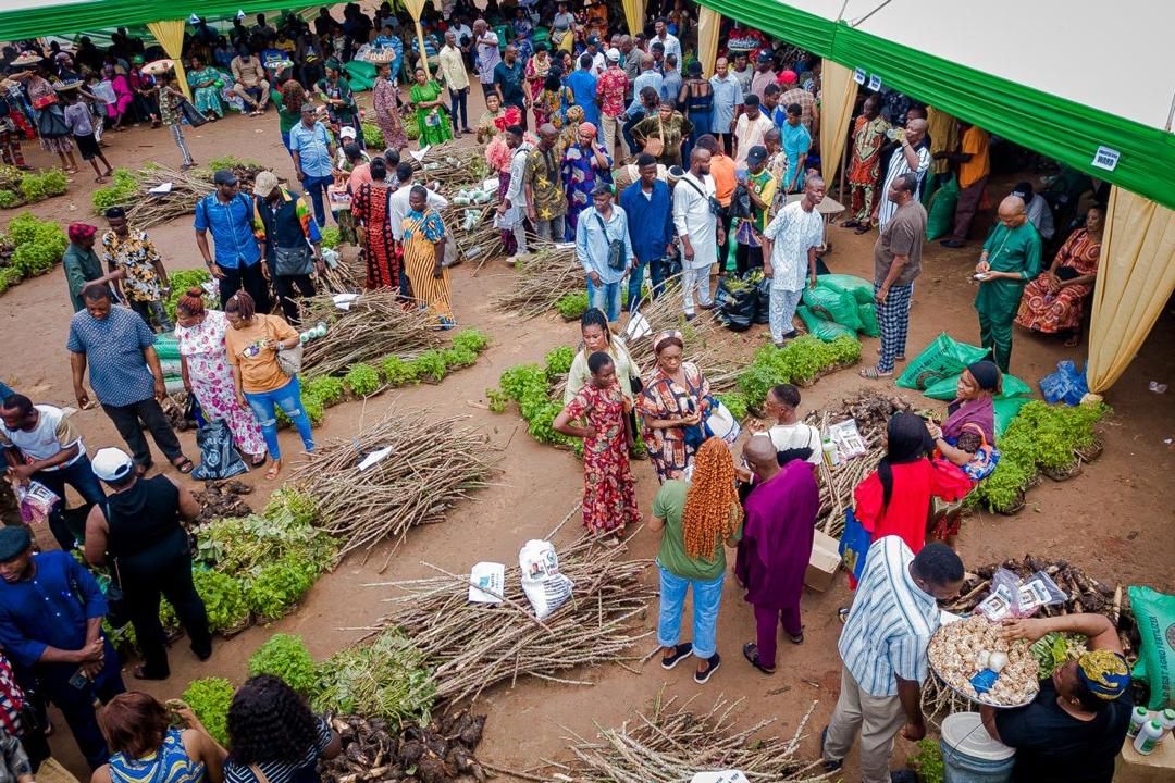 Food security: Abia shifts focus to commercial agriculture, empowers 18,000 farmers